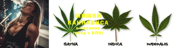 гидра Пролетарск
