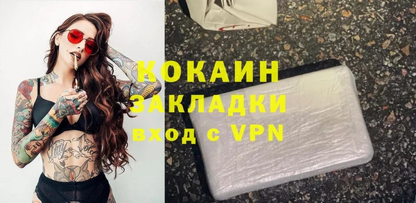 индика Протвино