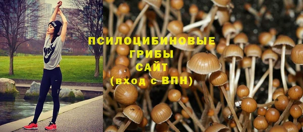 тгк Балабаново