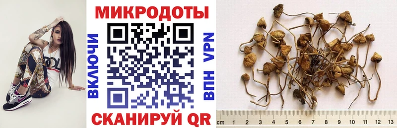 mega как зайти  Лесосибирск  Галлюциногенные грибы Cubensis 