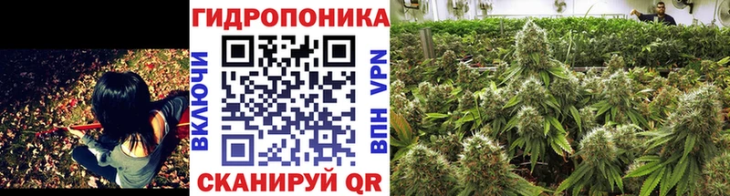 Конопля индика  наркошоп  Лесосибирск 